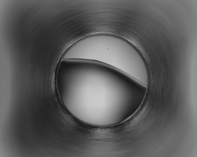 X0000094430842200711081017