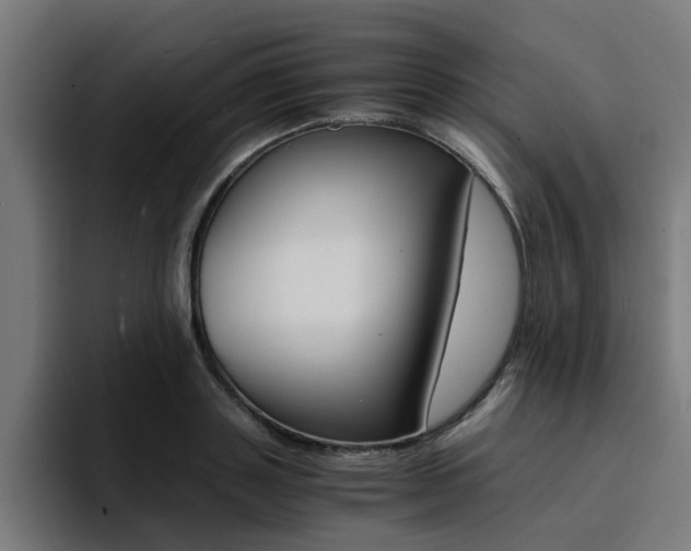 X0000094430843200711081017