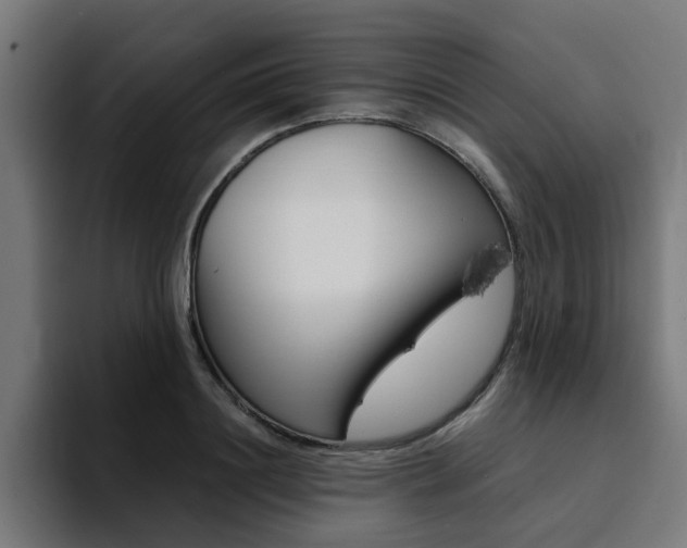 X0000094430844200711081017
