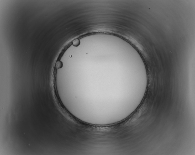 X0000094430848200711081017