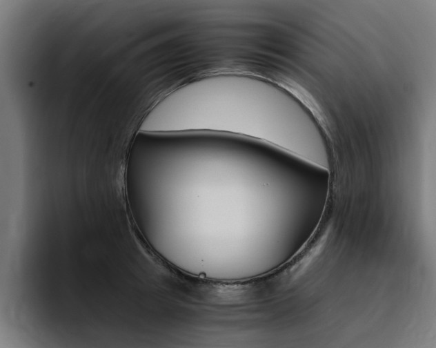 X0000094430849200711081017