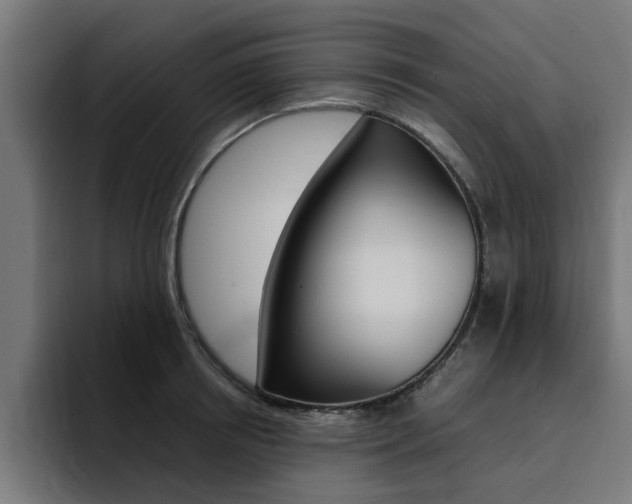 X0000094430850200711081017