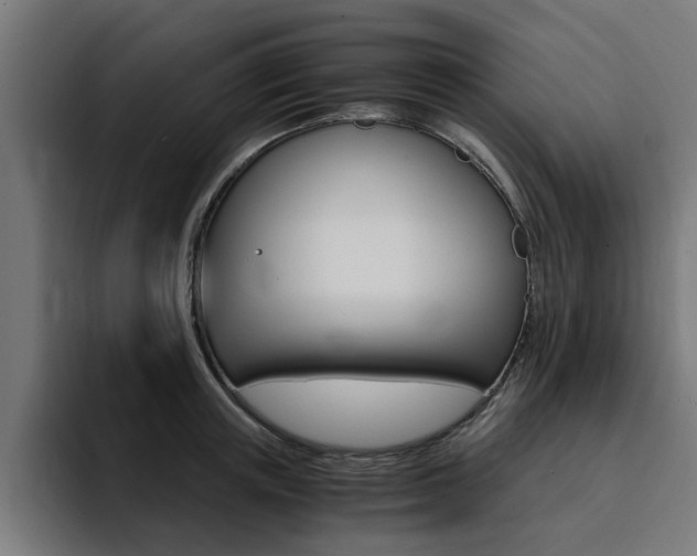 X0000094430851200711081017