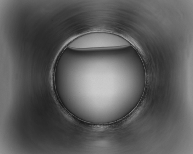 X0000094430854200711081017