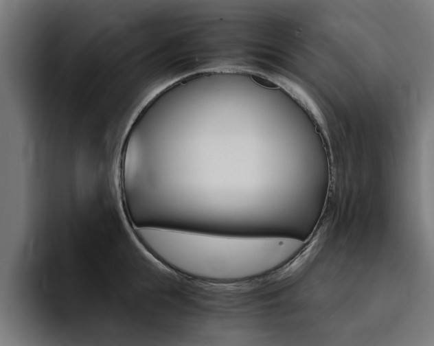 X0000094430855200711081017