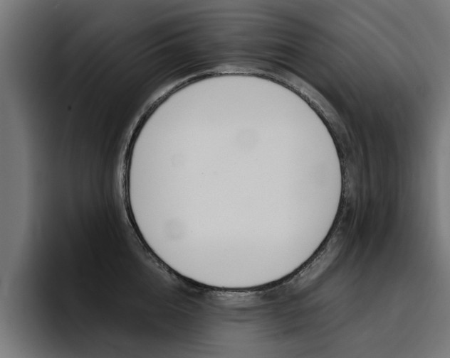 X0000094430856200711081017