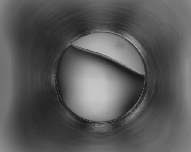 X0000094430857200711081017
