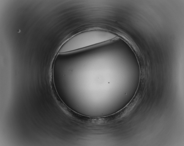X0000094430858200711081017