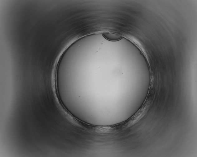 X0000094430859200711081017
