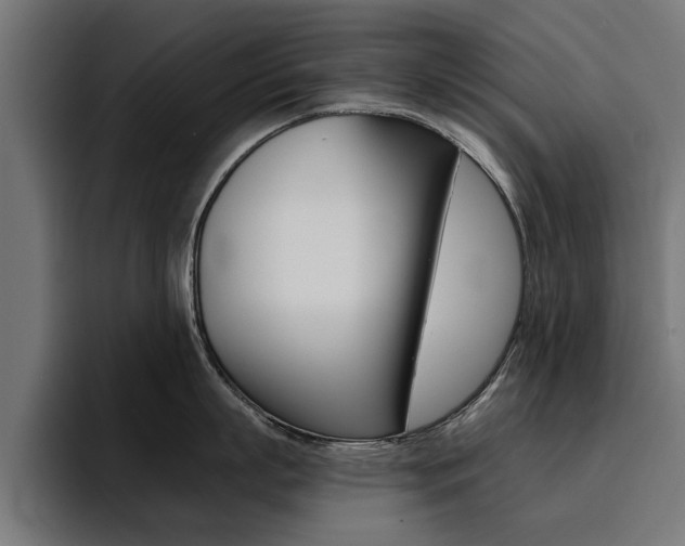 X0000094430863200711081018