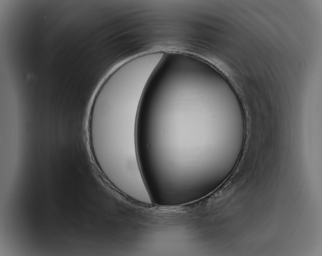 X0000094430864200711081018