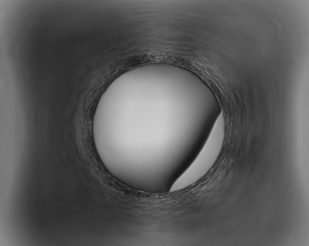 X0000094430865200711081017