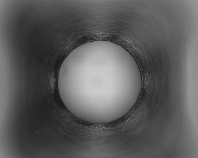 X0000094430866200711081017
