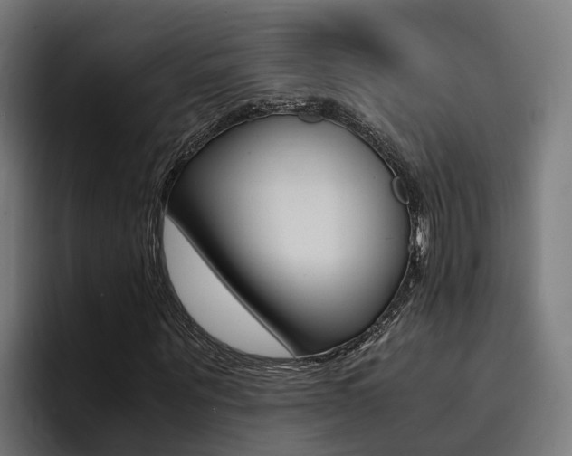 X0000094430867200711081017