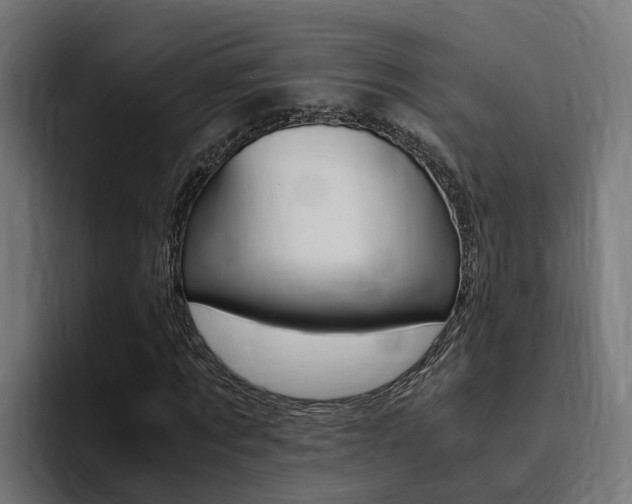 X0000094430869200711081017
