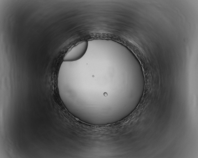 X0000094430870200711081017