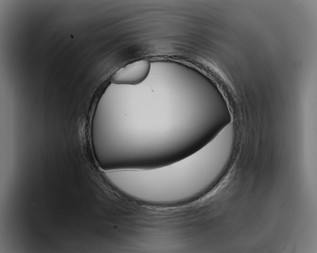 X0000094430873200711081017
