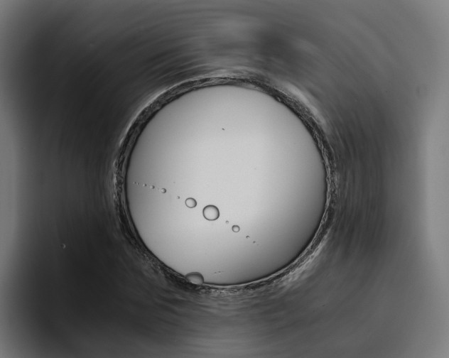 X0000094430875200711081017