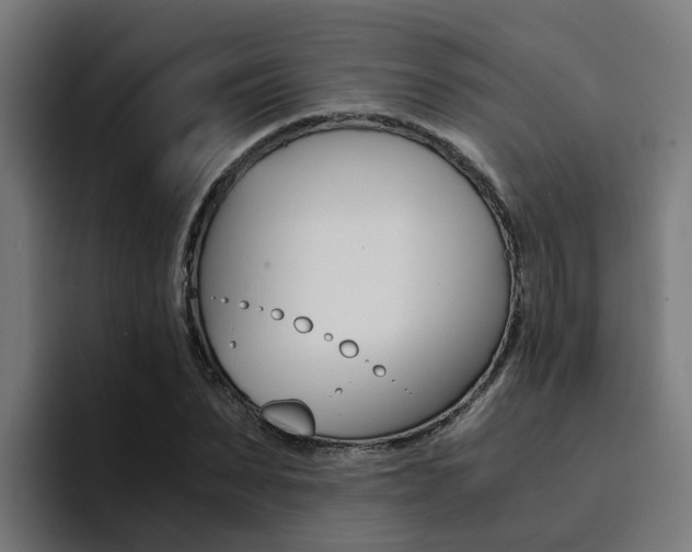 X0000094430879200711081017