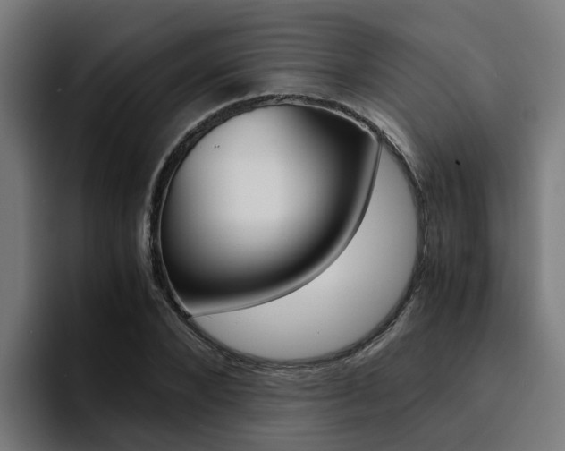 X0000094430880200711081017