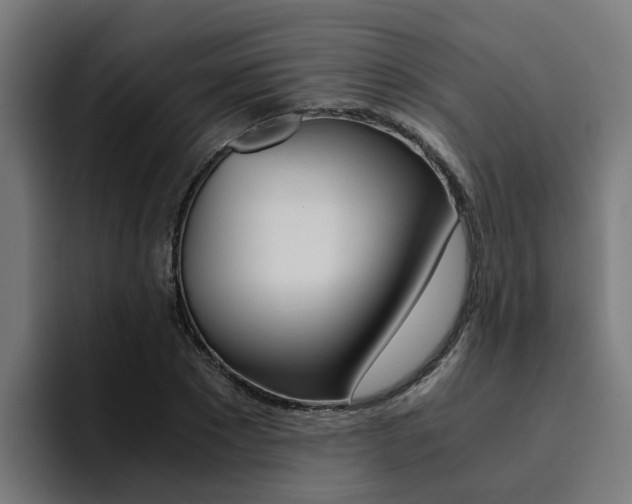 X0000094430881200711081017