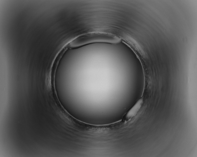 X0000094430884200711081017