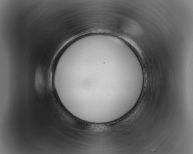 X0000094430886200711081017