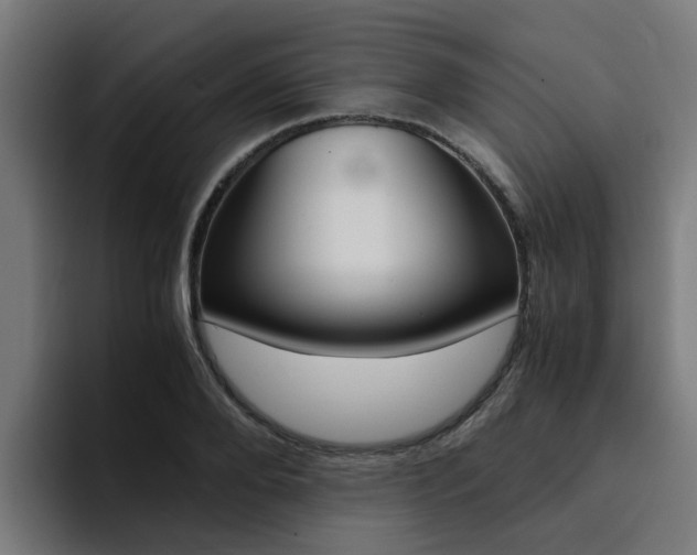 X0000094430888200711081017