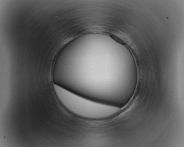 X0000094430889200711081017