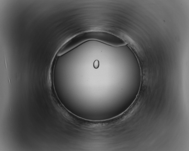 X0000094430892200711081017