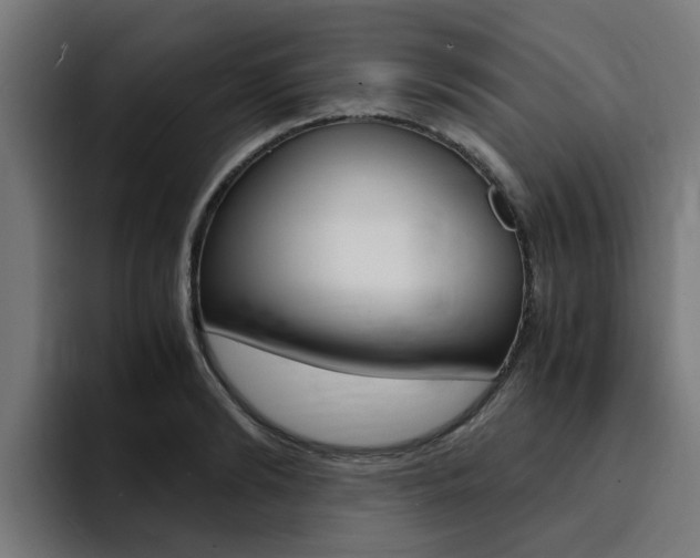 X0000094430894200711081017