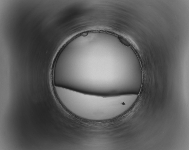 X0000094430895200711081017