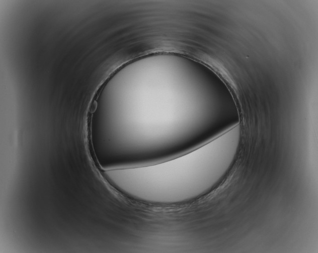 X0000094430898200711081017
