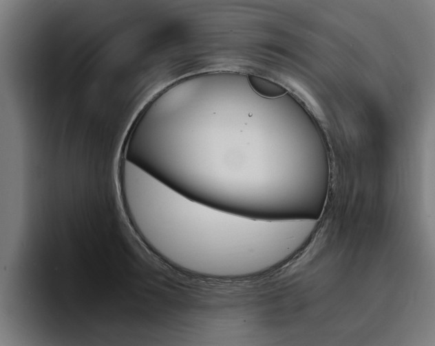 X0000094430899200711081016