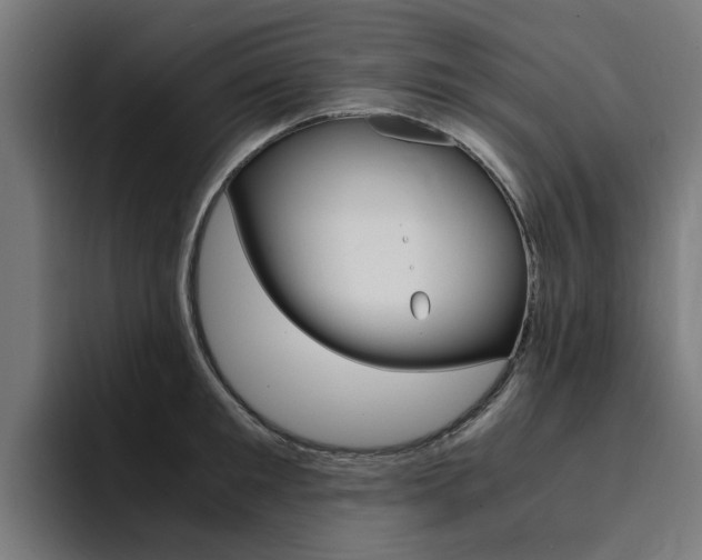 X0000094430901200711081016