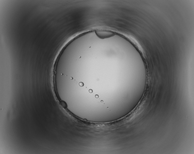 X0000094430903200711081016