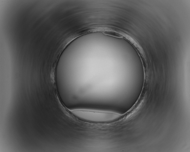 X0000094430905200711081016