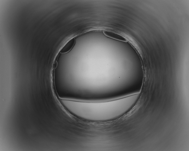 X0000094430906200711081016