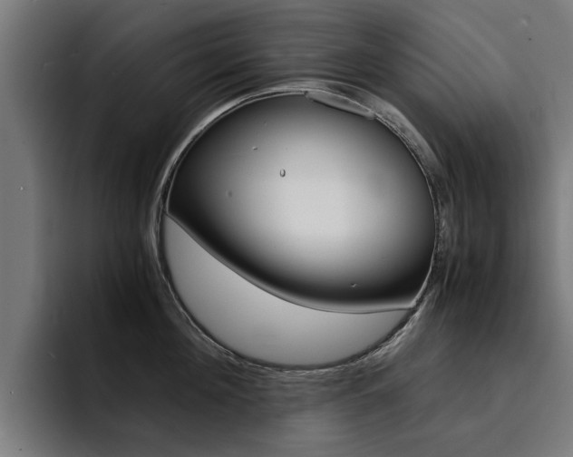X0000094430908200711081016