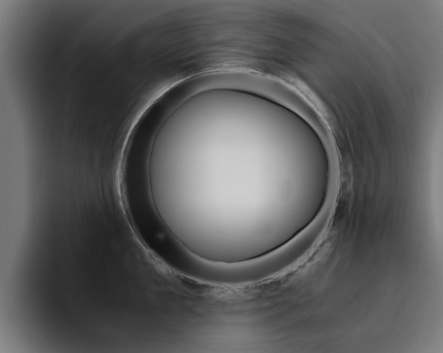 X0000094430909200711081016