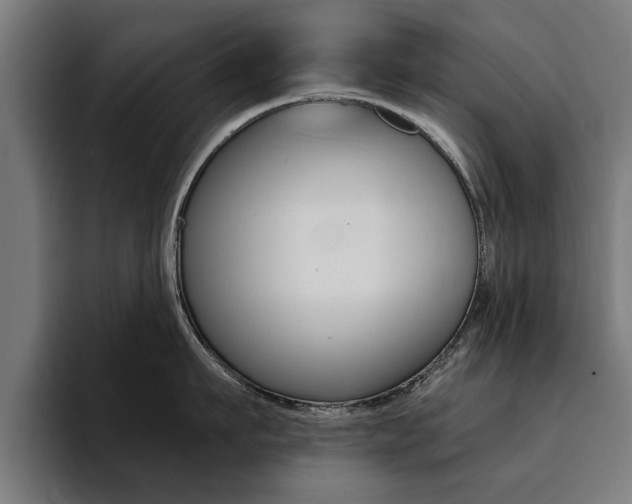 X0000094430911200711081016