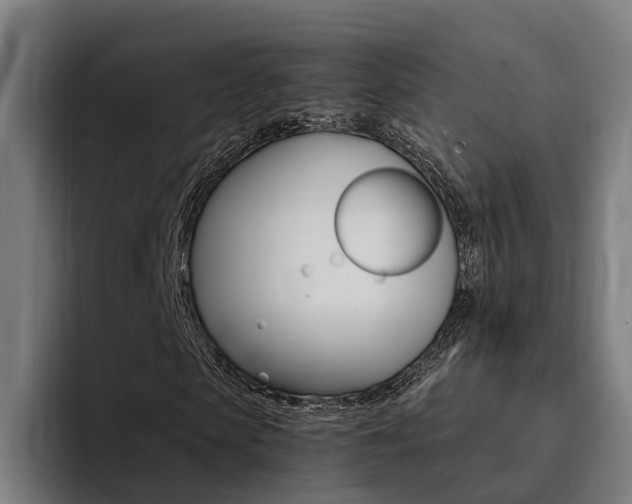 X0000094430913200711081016