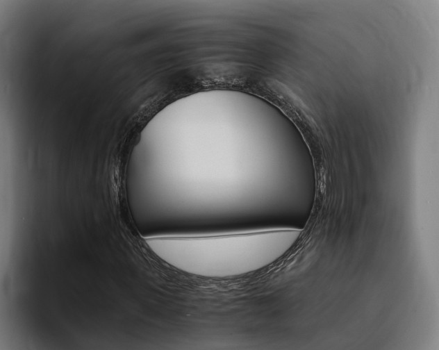 X0000094430915200711081016