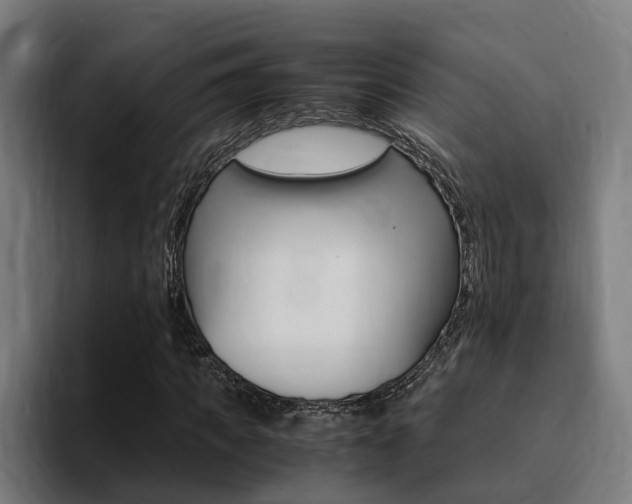 X0000094430917200711081016