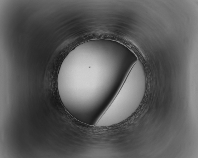 X0000094430919200711081016