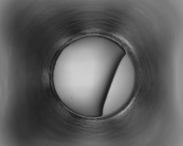 X0000094430921200711081016