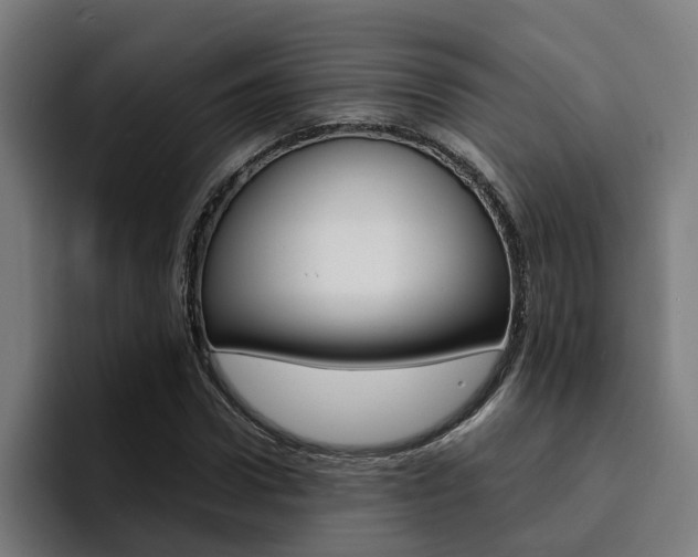 X0000094430922200711081016