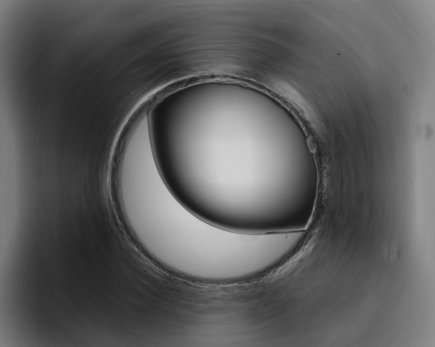 X0000094430924200711081016