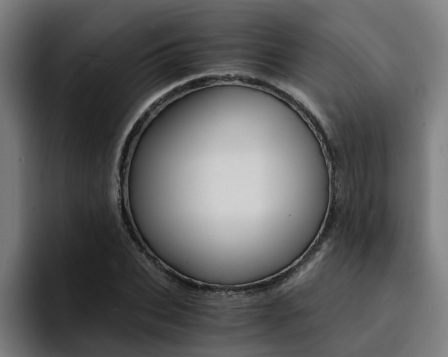 X0000094430927200711081016