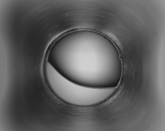 X0000094430928200711081016